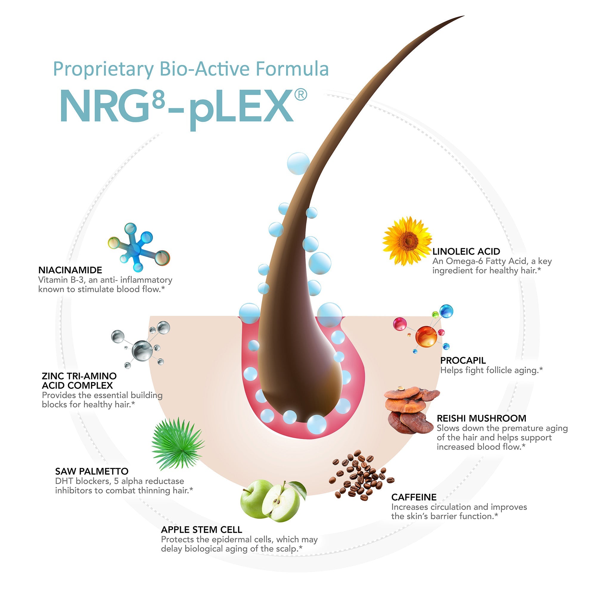 HairMax Density Haircare Shampoo 10 oz